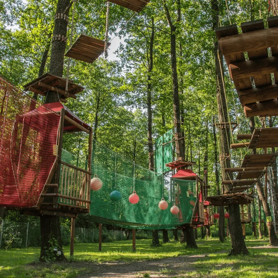 Aktywne Wakacje w Amazing Park